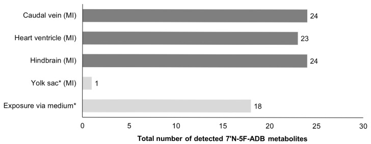 Comparison of the total number of metabolites produced depending on different administration routes in ZF larvae. Results for the samples investigated in this study are represented by the mean value of peak numbers of triplicates of 36 pooled larvae. (MI: microinjection, * these results were quoted from the previous study of 7′N-5F-ADB [24]).