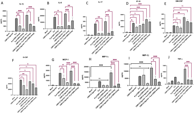 Bar graphs display cytokine levels, measured in picograms per milliliter, across different experimental groups labeled Mock, CBR1/2 Agonist, and combinations with antagonists. Panels A-J show varying cytokines: IL-1β, IL-6, IL-17, IP-10, GM-CSF, G-CSF, MCP-1, MIP-1α, MIP-1β, and TNF-α. Significant differences between groups are marked by asterisks, with brackets indicating specific comparisons. Error bars represent standard deviation.
