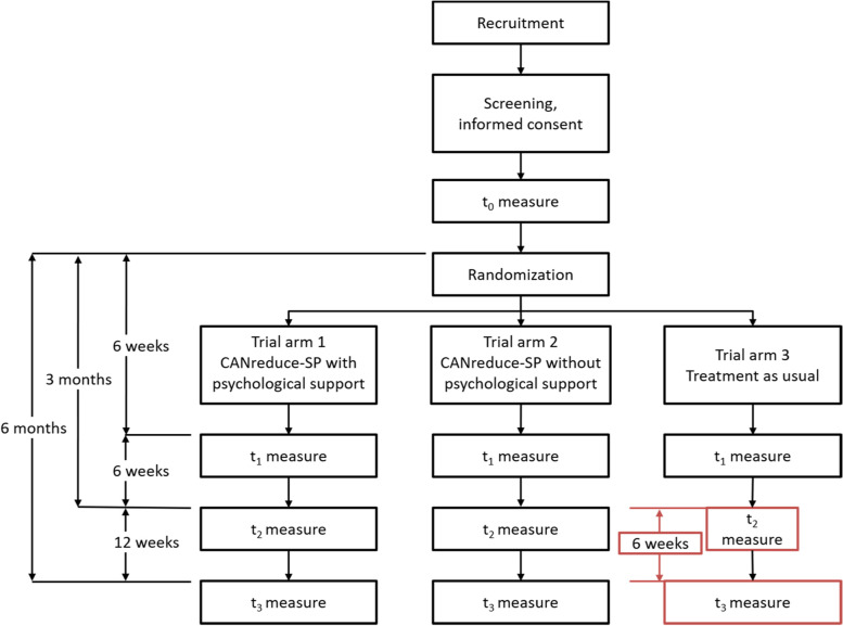RCT study flowchart