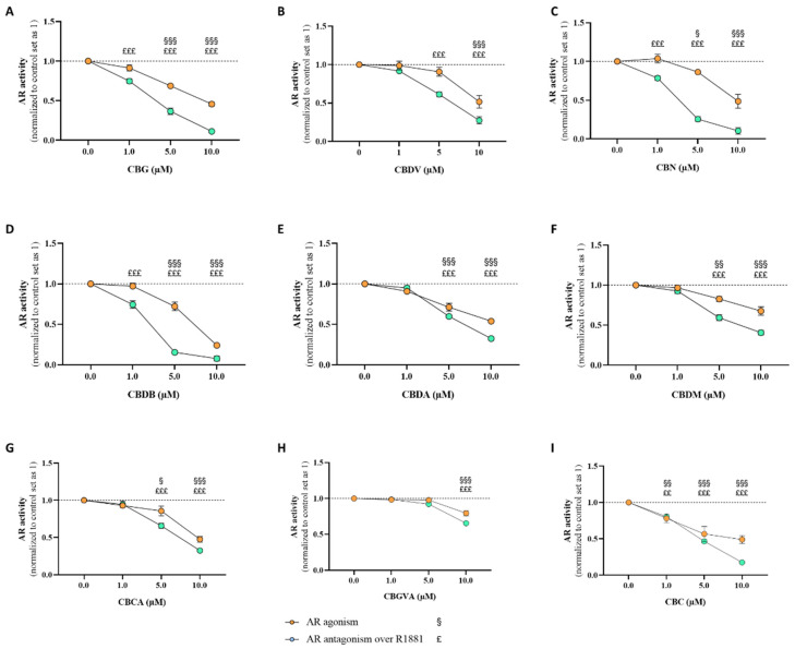 Transactivation assays for the determination of AR agonist/antagonist activity induced by the nine minor cannabinoids, CBG (A), CBDV (B), CBN (C), CBDB (D), CBDA (E), CBDM (F), CBCA (G), CBGVA (H), and CBC (I). CHO-K1 cells were treated with the cannabinoids (1, 5, and 10 μM) in the absence (AR agonism) or presence (AR antagonism) of R1881 (0.1 nM) for 24 h. Results are presented as the mean ± SEM of at least three independent experiments performed in triplicate. Statistically significant differences between the control (cells not exposed to cannabinoids), set as 1, and cells not treated with R1881 are expressed as § (p < 0.05), §§ (p < 0.01), and §§§ (p < 0.001), while the differences between the control and cells treated with cannabinoids in the presence of R1881 are expressed as ££ (p < 0.01) and £££ (p < 0.001).