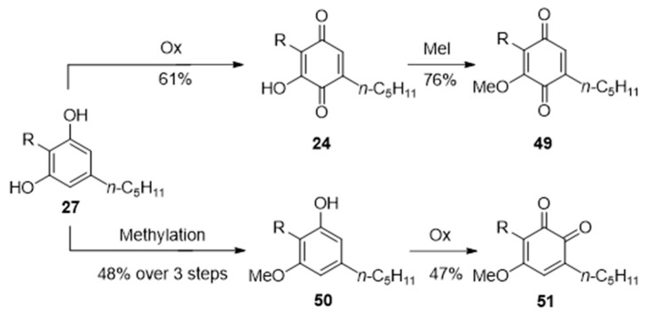 Regiodivergent formation of isomeric O-methylcannabinoquinones (49, 51) from resorcinolic phytocannabinoids. (27, R = terpenyl) via, respectively, the quinones 24 or the resorcinols 50. Yields for R = Δ1,8-3-p-menthadienyl, that is, cannabidiol (compound 7)).