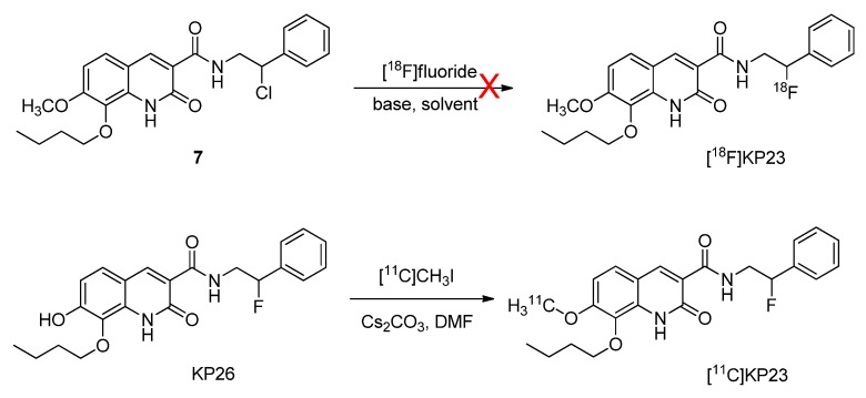 Radiosyntheses of compounds [18F]KP23 and [11C]KP23.