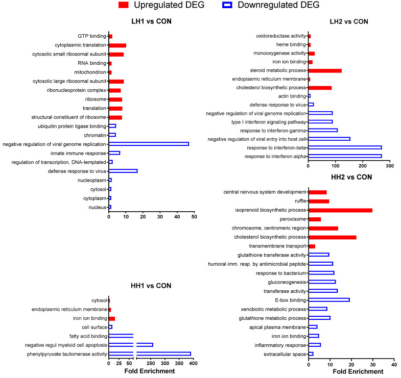 DAVID Gene Ontology analysis of differentially expressed genes in lambs fed SHB for 4 weeks + 4 weeks of withdrawal period [10% SHB (LH1) and 20% SHB (HH1)] and lambs fed for 8 weeks with SHB [10% SHB (LH2) and 20% SHB (HH2)]. The X-axis provides fold enrichment.