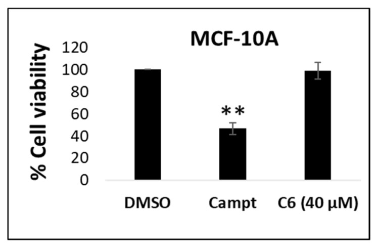 Screening of C6 in the non-cancerous breast cell line, MCF-10A, to evaluate its selectivity for breast cancer cells. ** p < 0.01. Camptothecin (5.74 µM) was used as a positive control to induce growth inhibition. Campt, camptothecin.