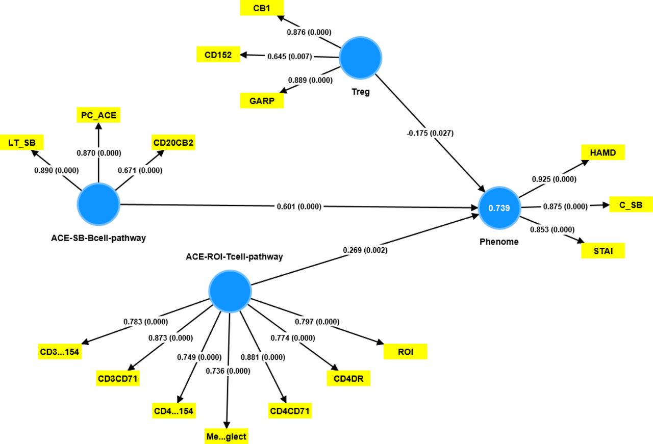 Results of Partial Least Squares (PLS) Analysis. This PLS Analysis shows the most adequate model in which we built two different pathway-phenotypes: a) ACE-SB-B cell pathway phenotype, i.e. a factor extracted from lifetime suicidal behaviors (LT_SB), CD20+CB2+ B cell%, and PC_ACE (a principal component computed using the scores of mental trauma, physical trauma, mental neglect, domestic violence, a family history of mental disease, and the loss of a parent); and b) ACE-ROI-T cell pathway phenotype, i.e., a factor extracted from mental neglect (MeNeglect), ROI and T cell activation markers (see Figure 1 for specifications). The two pathway phenotypes combined with T regulatory cells (Treg; see Figures 1 and 5 for specifications) explain 73.9% of the variance in the phenome of depression (see Figures 1 and 5 for specifications). The results of complete PLS analysis are shown as pathway coefficients (p-values) in the inner model, and loadings (p values) in the outer model.