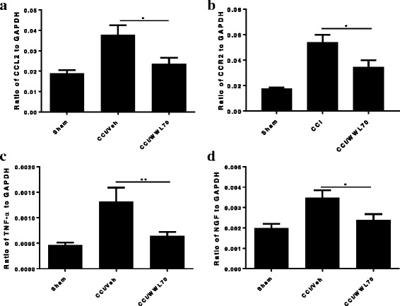 Elevated chemokines and cytokines in the ipsilateral DRG of CCI mice were downregulated by WWL70 treatment. RNA isolated from DRG taken from mice 7 days post-CCI was subjected to qRT-PCR analysis. The increased expression of CCL2 (a), CCR2 (b), and TNF-α (c) was detected in the CCI vehicle group and significantly suppressed by WWL70 (10 mg/kg). (*p < 0.05 and **p < 0.01 CCI/WWL70 compared to CCI/vehicle) (mean ± S.E.M., n = 10/group). NGF expression level was significantly increased in CCI vehicle group and attenuated by WWL70 administration (d). *p < 0.05 (mean ± S.E.M., n = 10/group)