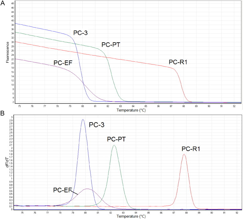 High-resolution melting (HRM) analysis of four DNA markers on Psilocybe cubensis. (A) Melting curves plot; (B) normalized melting peaks. RNA polymerase II: PC-R1; psilocybin-related phosphotransferase gene: PC-PT; glyceraldehyde 3-phosphate dehydrogenase: PC-3; translation EF1α: PC-EF.
