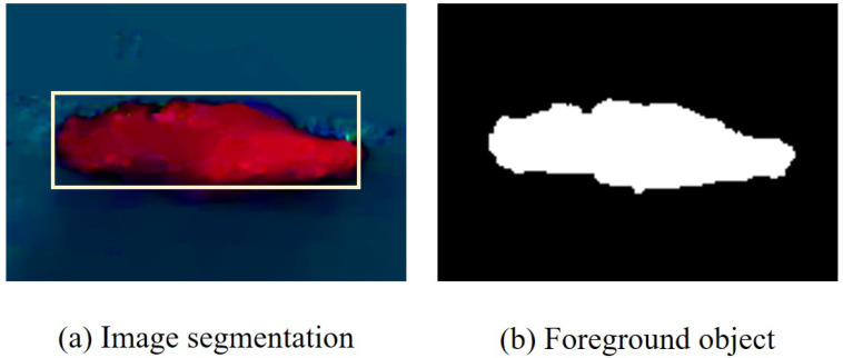 Interactive segmentation result: (a) shows the location situation after area selection, and (b) applies the GraphCut algorithm to the selected regions.