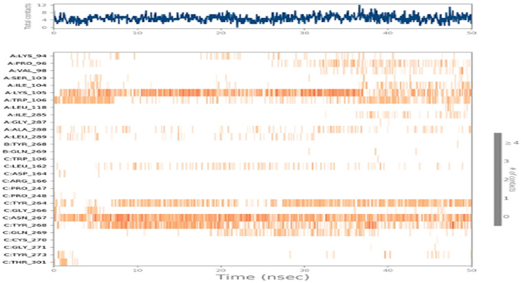Protein residues interacting with the ligand molecule across the time course.