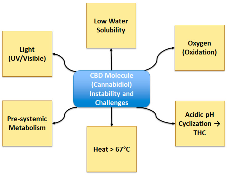 Schematic overview of CBD instability and challenges.