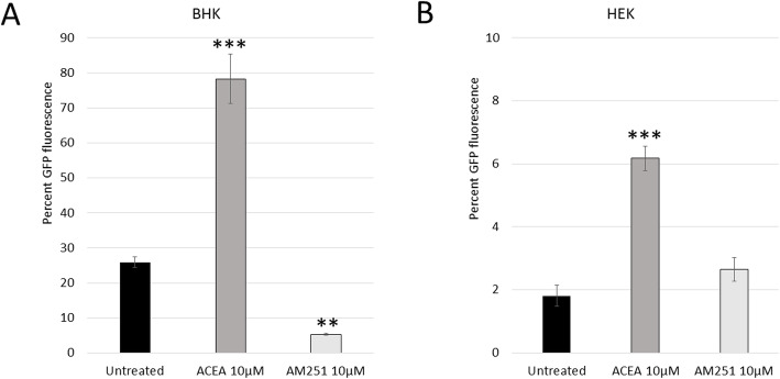 Confirmation of ACEA/AM251 treatment on SINV-infected baby hamster kidney (BHK) and human embryonic kidney (HEK) cells. Results from flow cytometry analysis of individual cells. Confirms results in Fig. 3 with two additional cell types