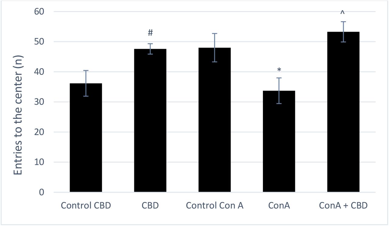 CBD administration (20 mg / kg) effect on locomotor activity in healthy subjects and AIH modelThe bars correspond to the mean value ± standard error, on 5 animals in each experimental group (n = 5). *: p <0.05 (T-student test) compared to control CBD group, #: p <0.05 (Anova) compared to Control ConA group, ^: p <0.05 (Anova) compared to ConA group