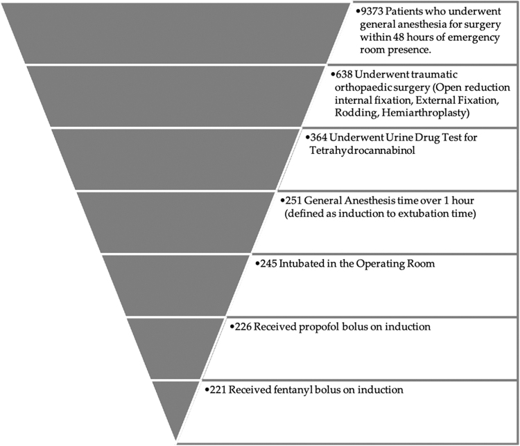 Inclusion of patients in this study was determined by evaluating urgent orthopedic surgeries performed within 48 h of ER visit. Analyzed patients were those screened for THC by urine drug test and receiving standard anesthesia induction medications and subsequent intubation. ER, emergency room.
