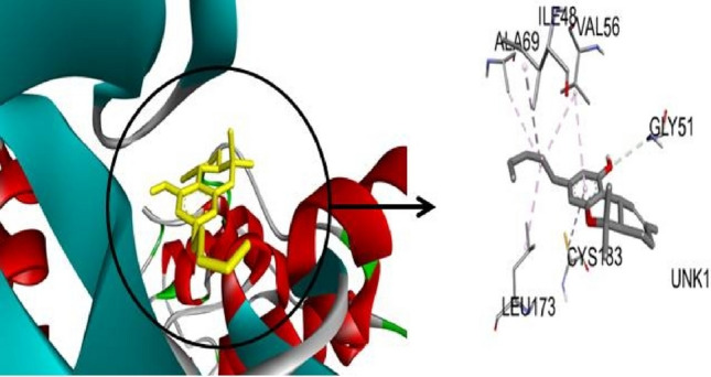 3 D visualization of ERK1-Tetrahydrocannabinol