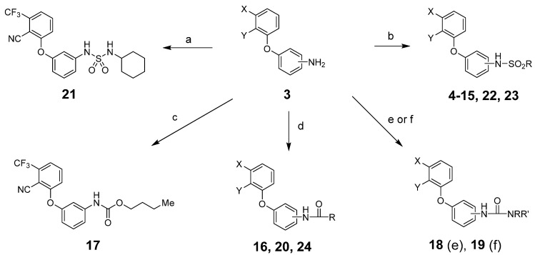 Reagents and conditions: (a) RNHSO2Cl, NEt3, THF, room temperature (rt); (b) RSO2Cl, NEt3, THF, rt; (c) RO2CCl, NEt3, THF, rt; (d) RCOCl, NEt3, THF, rt; (e) RNCO, NEt3, THF, rt; (f) (1) triphosgene, NaHCO3, CH2Cl2, water, rt; (2) RR’NH, NEt3, THF, rt. See Table 1 and Table 2 below for exact structures and in vitro data.