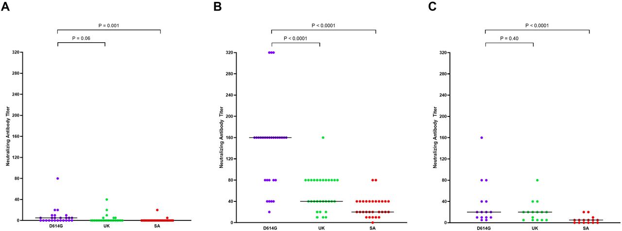 Neutralization antibody (NAb) titer against clinical strains of D614G, UK and SA SARS-CoV-2 variants of 29 BNT162b2-vaccine elicited sera and 15 convalescent sera recovered from healthcare workers (HCW).(A) NAb titer against the three clinical isolates of BNT162b2-vaccine elicited HCW sera recovered three weeks after first injection. (B) NAb titer against the three clinical isolates of BNT162b2-vaccine elicited HCW sera recovered seven days after second injection. (C) NAb titer against the three clinical isolates of convalescent COVID-19 HCW sera recovered 6 months after the symptom’s onset. NAb titer against D614G strain are in blue, NAb titer against UK strain are in red and NAb titer against SA strain are in green. Black horizontal lines indicate median values. Two-tailed P values were determined using the Mann-Whitney test and are reported on each panel.