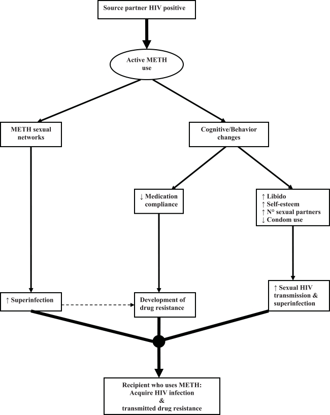 Theoretical model of casual association between active methamphetamine use and transmitted drug resistance (METH = Methamphetamine; ↑ = Increase; ↓= Decrease).