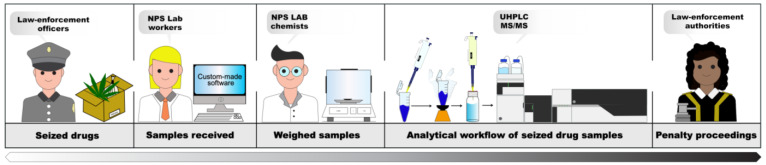 Workflow of the seizure analysis process.