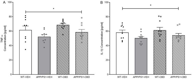 (A,B): ELISA results for TNF-α and IL-1β in the hippocampal tissue of APP/PS1 WT mice. ELISA results for (A) TNF-α levels and (B) IL-1β levels for male APPSwe/PS1∆E9 (APP/PS1) transgenic mice and non-transgenic wild-type-like (WT) littermates treated with 100 mg/kg cannabidiol (CBD) or vehicle (WT-VEH n = 9; APP/PS1-VEH n = 11; WT-CBD n = 10; APP/PS1-CBD n = 10). Data are presented as means ± SEM. Two-way ANOVA ‘genotype’ effects are presented as ‘*’ (* p < 0.05).