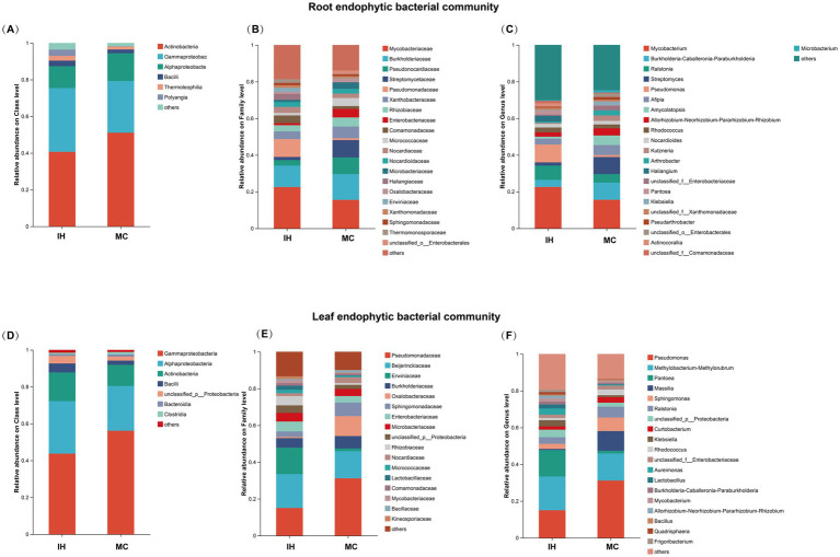 Endophytic bacterial community compositions of industrial hemp and medicinal Cannabis. (A–C) The relative abundance of dominant root endophytic bacteria. (D–F) The relative abundance of dominant leaf endophytic bacteria.