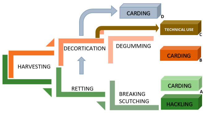 Schematic value chains of hemp fibre extraction for textile purposes. (A) (green line)—traditional order of processes including straw retting, (B) (orange line)—with use of decortication of straw excluding retting with use of degumming, (C) (orange-brown line)—decortication of raw non-retted straw for technical use of the fibres, (D) (green-grey line)—with use of decortication following retting aimed at preparation of fibre for cottonisation or woolenisation (own elaboration).