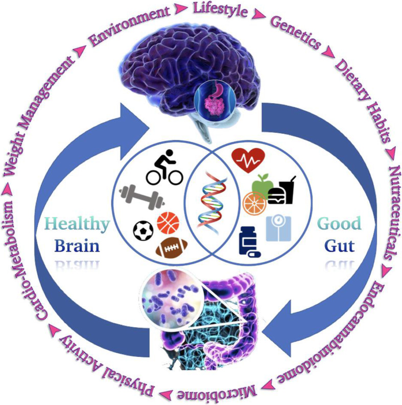 The human body and the 'two brains.' The central nervous system (brain 1) and enteric nervous system ('brain' 2). The unique neural integration between the two, post-consumption/ingestion of balanced diet, along with genetics, environmental and lifestyle factors, help attain a good gut and healthy brain, commanding overall wellness.