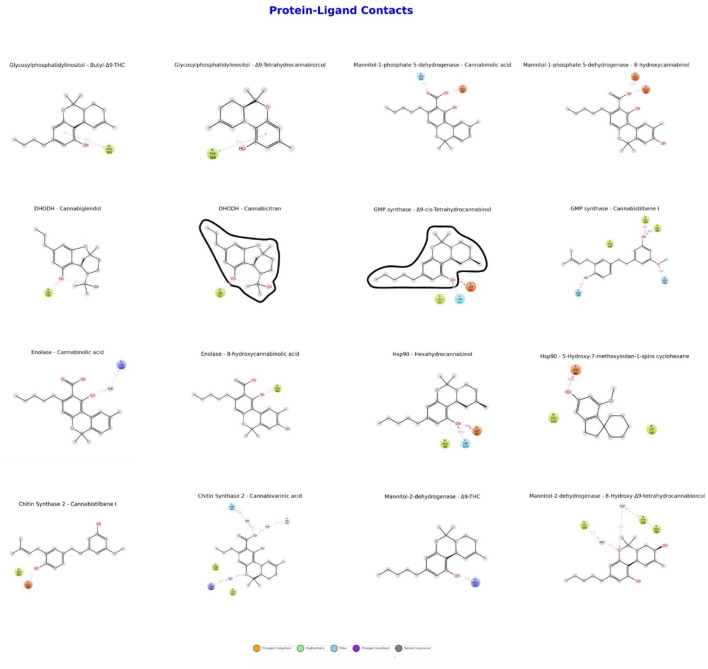 Binding affinities and interaction profiles of protein-ligand complexes.