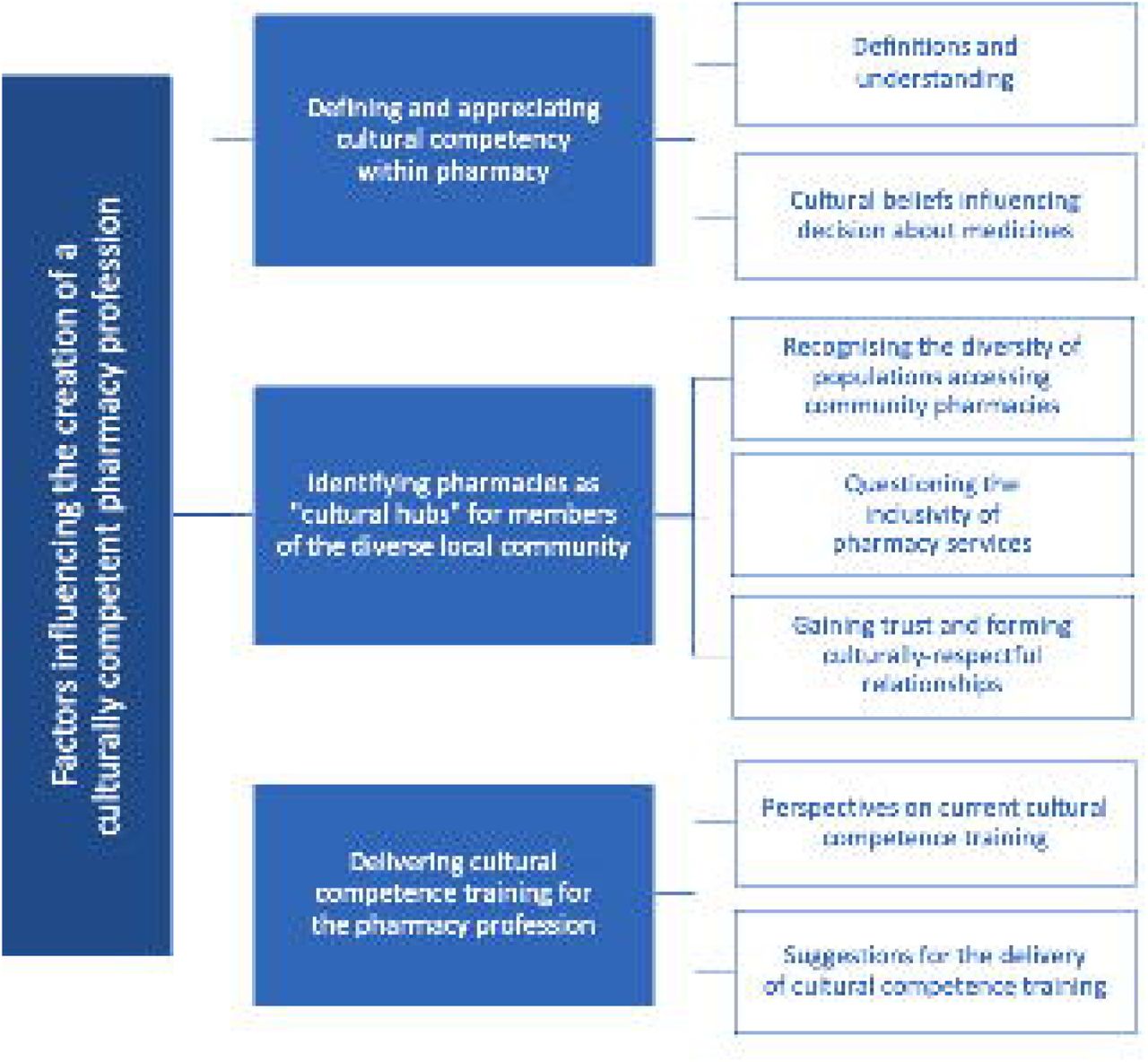 Factors influencing the creation of a culturally competent pharmacy profession: developed from the perspectives of pharmacy professionals