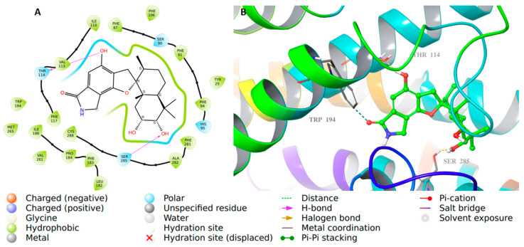 CB2 in complex with 56. (A) The 2D view of the binding interactions of compound 56 complexed with the CB2 crystal structure. (B) The 3D representation for CB2 complexed with compound 56 (green color) after re-docking and interacting with side-chain residues (gray color).