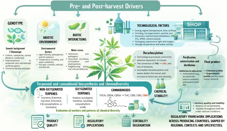 Conceptual diagram integrating the main pre- and post-harvest determinants in the Cannabis sativa “crop-to-shop” chain