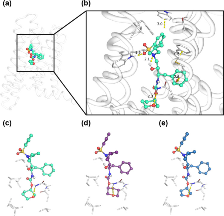 Structural comparison of southern carbamate pendants in predicted VU6077967 (11d) CB2 binding pose. (a) Zoomed-out structural representation of the docked VU6077967 CB2 complex. (b) Zoomed-in structural representation of the docked VU6077967 CB2 complex. (c) Focused depiction of VU6077967, (d) VU6077966 (11c), and (e) VU6077969 (11b). CB2 transmembrane helix number indicated with lowercase roman numerals.