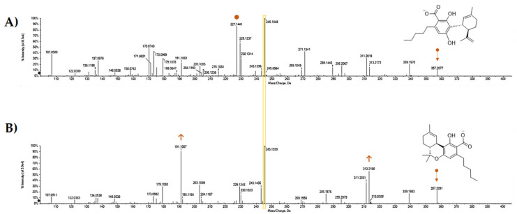 TOF-MS/MS spectra of CBDA (A) and Δ9-THCA (B). Both the compounds, reconstituted in methanol LC-MS grade, at a 10 mg/mL dose level, were analyzed using a Shimadzu NEXERA UHPLC system (Shimadzu, Tokyo, Japan) equipped with a Luna® Omega Polar C18 column (1.6 μm, 50 × 2.1 mm i.d, Phenomenex, Torrance, CA, USA). The separation was achieved using a binary solution (A) H2O (0.1% HCOOH), (B) CH3CN (0.1% HCOOH) using a gradient program, which started at 25% B, which linearly ramped up to 55% B in 1 min, and then to 95% B in other 7 min, where it held for 1.0 min. Then, the initial condition was restored and held for another 2 min. The total run time was 11.5 min, with a flow rate of 0.4 mL min−1. The injection volume was 2.0 μL. MS analysis was performed using a hybrid Q-TOF MS instrument, the AB SCIEX Triple TOF® 4600 (AB Sciex, Concord, ON, Canada), equipped with a DuoSprayTM ion source (consisting of both electrospray ionization (ESI) and atmospheric pressure chemical ionization (APCI) probes), which was operated in the negative ESI mode. The MS parameters were as follows: curtain gas (CUR) 35 psi, nebulizer gas (GS 1) 60 psi, heated gas (GS 2) 60 psi, ion spray voltage (ISVF) 4.5 kV, interface heater temperature (TEM) 600 °C, and declustering potential (DP) −70 V. In TOF-MS/MS experiments, collision energy (CE) applied was −45 V with a collision energy spread (CES) of 15 V, collision energy (CE) of −10. The instrument was controlled by Analyst® TF 1.7 software (AB Sciex, Concord, ON, Canada, 2016), while data processing was carried out using PeakView® software version 2.2 (AB Sciex, Concord, ON, Canada, 2016).