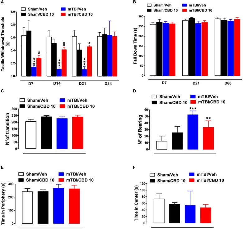 Effect of CBD on behavioral evaluations in sham and mTBI mice. (A) Shows Tactile withdrawal thresholds (TWT) measured through Von Frey monofilaments, (B) shows the latency to fall in the rotarod test, (C–F) show the number of transitions, number of rearing, the time spent in the periphery or in the center, in the open field test, respectively. Data are represented as mean ± SEM of 10–11 mice per group. ∗, # and ° indicate significant differences compared to sham/vehicle, sham/CBD 10 or TBI/vehicle, respectively. P < 0.05 was considered statistically significant. One-way ANOVA, followed by Bonferroni’s Multiple Comparison post hoc tests.
