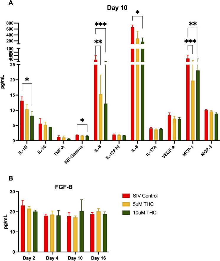 Bar charts titled “Day 10” and “FGF-B” depict cytokine and protein levels. Chart A shows varying levels of IL-1B, IL-10, TNF-A, IFN-Gamma, IL-6, IL-12P70, IL-8, IL-17A, VEGF-A, MCP-1, and MCP-3 with significant differences marked by asterisks. Chart B shows consistent FGF-B levels over days two, four, ten, and sixteen. Three conditions are compared: SIV Control (red), 5uM THC (yellow), and 10uM THC (green). Error bars indicate variability.