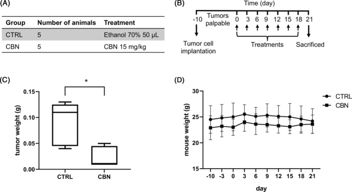 CBN effect on a xenograft model of MM. (A) Groups of animals and treatments received. (B) Experimental design of animal treatments. When tumors became palpable, animals were treated subcutaneous every 3 days, for 3 weeks. (C) Tumor weight at the end of treatments. Box spans from the first to the third quartile. The line inside the box indicates the median. The whiskers extend either to the minimum/maximum data value. *p < 0.05. (D) Body weight of the mice during the treatment. The graph shows the mean ± SD from five animals for group.