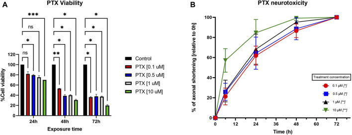 (A) Effects of different concentrations of PTX (0.1 µM, 0.5 µM, 1 μM, and 10 µM) on the viability of neurons, assessed with MTT. The results are expressed as % of viable cells and were measured at 3 different time points (24 h, 48 h, and 72 h post-administration). Data is expressed as mean ± SD; the results come from three different experiments performed in duplicate (*p < 0.05, **p < 0.01, ***p < 0.001, ns = no statistical significance). (B) Effects of different Paclitaxel concentrations (0.1 µM, 0.5 µM, 1 μM, and 10 µM) on neurite shortening of DRG neurons, measured at 6 h, 24 h, 48 h, and 72 h after treatment, compared to their initial lengths. Different concentrations of Paclitaxel had toxic effects leading to a reduction in neurite length, starting as soon as 6 h, compared to baseline values. Data is expressed as % of axonal shortening relative to each neuron’s baseline value and comes from three independent experiments performed with three replicates, where five to eight regions were recorded randomly per coverslip, each microscopic field containing 1–5 measured neurons (*p < 0.05, **p < 0.01, ns = no statistical significance).