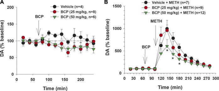 The effects of BCP and METH on extracellular DA in the nucleus accumbens (NAc). (A): BCP, at 25 and 50 mg/kg, failed to produce a significant reduction in extracellular NAc DA. (B): Pretreatment with BCP dose-dependently attenuated METH-induced enhancement of extracellular NAc DA. Data are presented as means ± SEM. *p < 0.05, when compared to the vehicle pretreatment group.