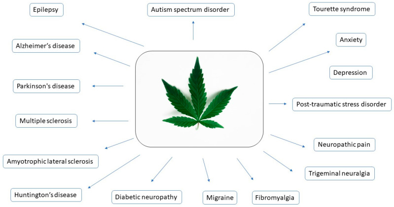 The potential of cannabis use in discussed neurological diseases of various etiologies.