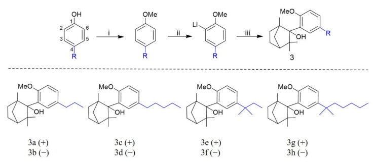 Synthesis of 2-(2′-methoxy-5′-alkylphenyl)-1,3,3-trimethylbicyclo[2.2.1]heptan-2-ol analogs (3a–3h) a. a Reagents and conditions: (i) Potassium carbonate, anhydrous DMF and iodomethane. (ii) n-Butyllithium in hexane and anhydrous THF. (iii) Fenchone and anhydrous THF.