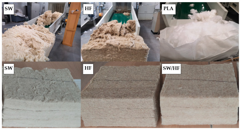 A general view of different fibres and prepared specimens.