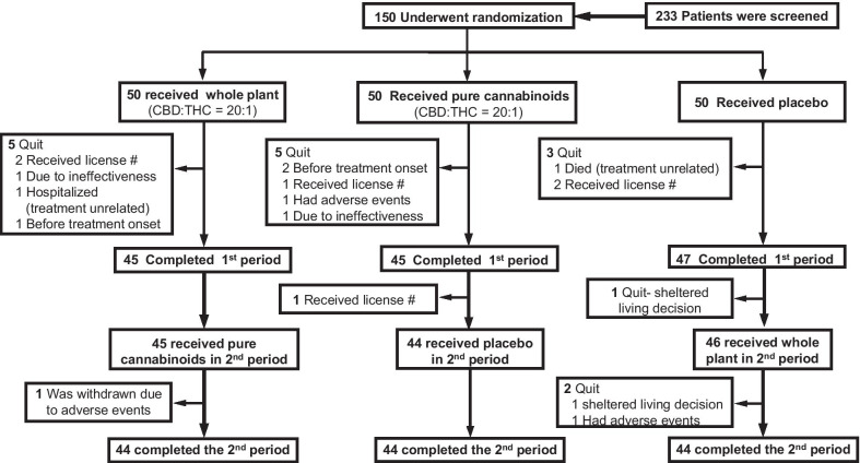 Trial profile: screening, randomization and treatment periods
