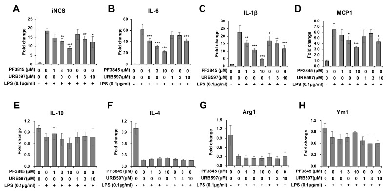 Regulation of pro-inflammatory and anti-inflammatory genes by FAAH inhibitor. BV2 cells were treated with LPS and inhibitor for 8 h. Total RNA from the cells was used for qRT-PCR to measure the expression levels of the pro-inflammatory genes, iNOS (A), IL-6 (B), IL-1β (C), and MCP-1 (D), as well as the anti-inflammatory markers, IL-10 (E), IL-4 (F), Arg1 (G) and Ym1 (H). The + and – symbols indicate the presence or absence, respectively, of LPS. Data are presented as means ± S.D. (n = 3). *, **, and *** denote p < 0.05, p < 0.01, and p < 0.001, respectively.