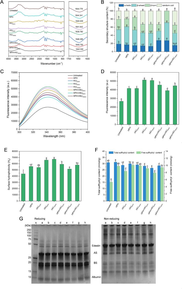 Physicochemical properties of hempseed protein isolate (HPI) after single (HPH or HIU) and two-stage (HPH + HIU) treatments. A: FTIR spectra; B: Secondary structure content; C: Intrinsic fluorescent spectra; D: Fluorescence intensity; E: Surface hydrophobicity; F: Total and free sulfhydryl content; G: SDS-PAGE. Columns with different letters (a-d) indicate statistically significant differences (P < 0.05). HPH: high-pressure homogenization treatment; HIU: high-intensity ultrasound treatment; HPH + HIU: high-pressure homogenization coupled with high-intensity ultrasound treatment. s: standard marker; a: Untreated HPI; b: HPH; c: HIU2min; d: HIU5min; e: HIU10min; f: HPH + HIU2min; g: HPH + HIU5min; h: HPH + HIU10min.