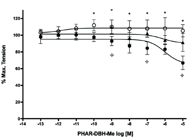 Concentration-dependent relaxation of 10–12–10–5 M PhAR-DBH-Me in 10–6 M phenylephrine pre-contracted rat aortic rings with (●) and without (○) endothelium and in presence of L-NAME (300 μM) with endothelium (▲).The data are expressed as the percentage of the maximum tension induced by phenylephrine and are shown as the mean ± SD, n = 5 rats in each group. *Denotes that the differences are significant (p < 0.05) between ● and ○. †Denotes that the differences are significant (p < 0.05) between ● and ▲.