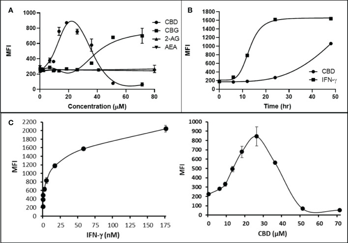 Phytocannabinoids, but not endocannabinoids, induce MHC-I expression in a dose- and time-dependent manner. (A) The endocannabinoids 2-AG and AEA had no effect on MHC-I expression in COLO 205 cells as determined by flow cytometry, in contrast to the activity of the phytocannabinoids CBD and CBG after 48 hr of treatment. (B) An MHC-I induction time course shows that elevated MHC-I is first detectable at 24 hr in cultured COLO 205 cells treated with 15 µM CBD but has reached maximum expression by 24 hr in cells treated with 3 ng/ml IFN-γ. (C). Parallel dose titrations spotlight the dramatic impact of IFN-γ and CBD on MHC-I expression in COLO 205 cells. The titrations also clarify differences in potency and dose effect between the cytokine and the cannabinoid. The dose titrations were conducted in triplicate in the same experiment and are representative of numerous IFN-γ and CBD comparisons. Statistical analysis using a two-sided T-test with unequal variances revealed that every titration data point has a p-value of less than 0.005 vs. the untreated sample. MFI: mean fluorescent intensity.