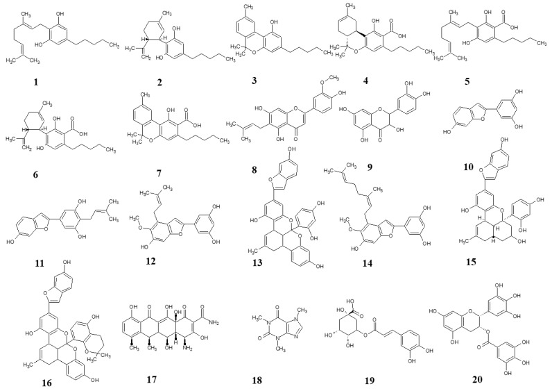 Structures of test compounds. Cannabigerol (1), cannabidiol (2), cannabinol (3), tetrahydrocannabinolic acid (4), cannabigerolic acid (5), cannabidiolic acid (6), cannabinolic acid (7), cannflavin B (8), quercetin (9), moracin M (10), moracin C (11), moracin T (12), albanol B (13), mulberrofuran Y (14), mulberrofuran G (15), mulberrofuran K (16), doxycycline (17), caffeine (18), chlorogenic acid (19), epigallocatechine gallate (20).