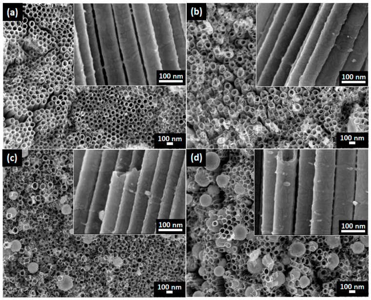FE-SEM images of CdSe–TiO2 nanotube thin films deposited at chemical batch temperatures of: (a) 20 °C, (b) 40 °C, (c) 50 °C, and (d) 60 °C, and the inset is cross-sectional view.