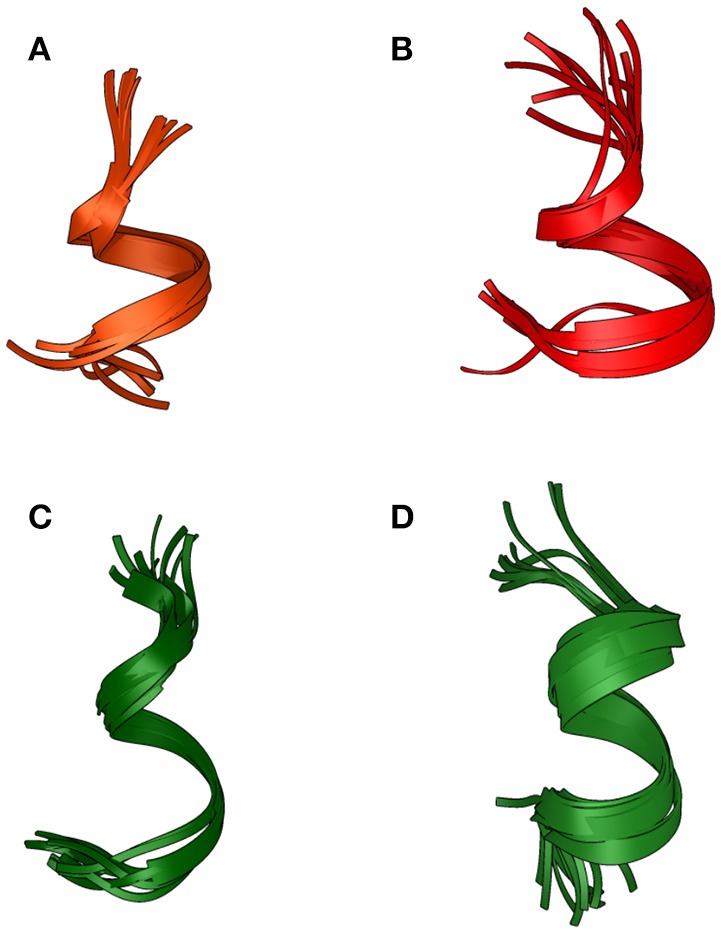Backbone overlay of the 10 lowest energy NMR-conformations of Pepcan-9 (A) and Pepcan-12 (B) in 50/50 v/v HFIP/NaP, pH 3.0, and Pepcan-9 (C) and Pepcan-12 (D) in 50/50 v/v HFIP/NaP, pH 7.4.
