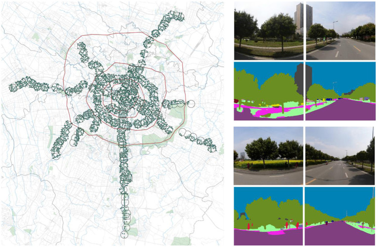 Street view point distribution in MSA and identification of green view rate.