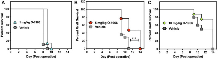 O-1966 treatment prolongs skin graft viability. Donor C3HeB/FeJ flank skin was transplanted to the back of a recipient C57BL/6J mice, sutured, and bandaged. Doses of O-1966 or vehicle (0.03% ethanol and 0.03% cremophor in saline) were injected i.p. every other day, from 1 h pre-op to 14 days post-op. On day 7 bandages were removed and grafts were monitored for rejection. Percent graft survival of mice treated with (A) 1 mg/kg O-1966 (), or vehicle (), (B) 5 mg/kg O-1966 () or vehicle (), or (C) 10 mg/kg O-1966 () or vehicle (). Panels (A,C) are results of a single experiment (n = 8 per group), and data in Panel (B) are the mean of two experiments (n = 17 per group). Median survival time of vehicle vs. O-1966 treatment at 5 mg/kg, **p < 0.001 by the Log rank [Mantel-Cox] test.